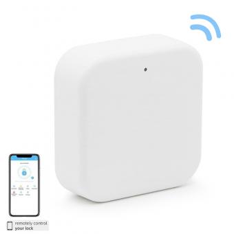 WiFi Gateway