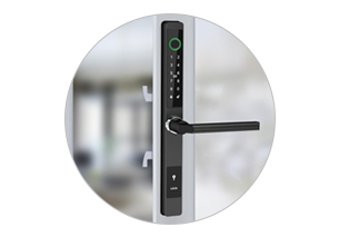 Codice di accesso serratura per porta senza chiave con impronta digitale Serratura impermeabile IP65 TTlock